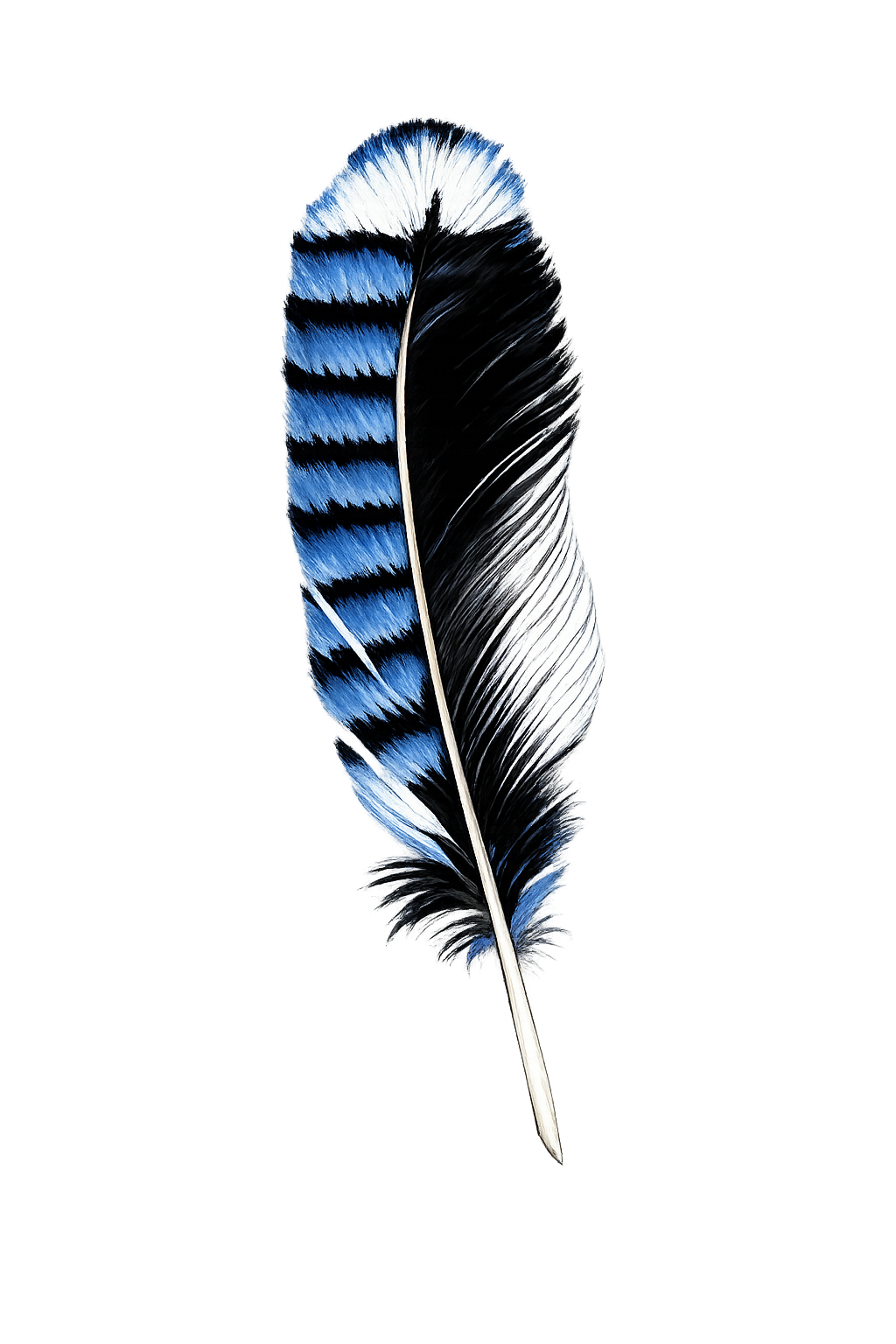 Blue Feather mark
